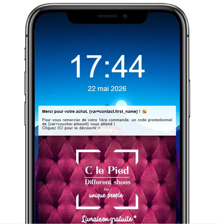 la push notification e-commerce pour fidéliser vos clients 