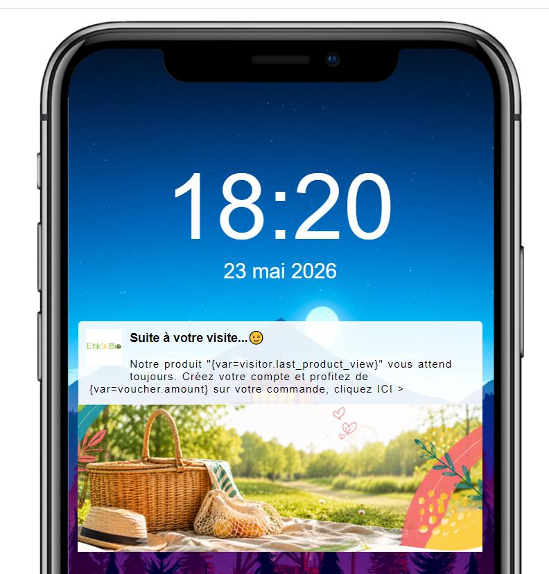 Exemple Push notification ecommerce relance visiteur anonyme