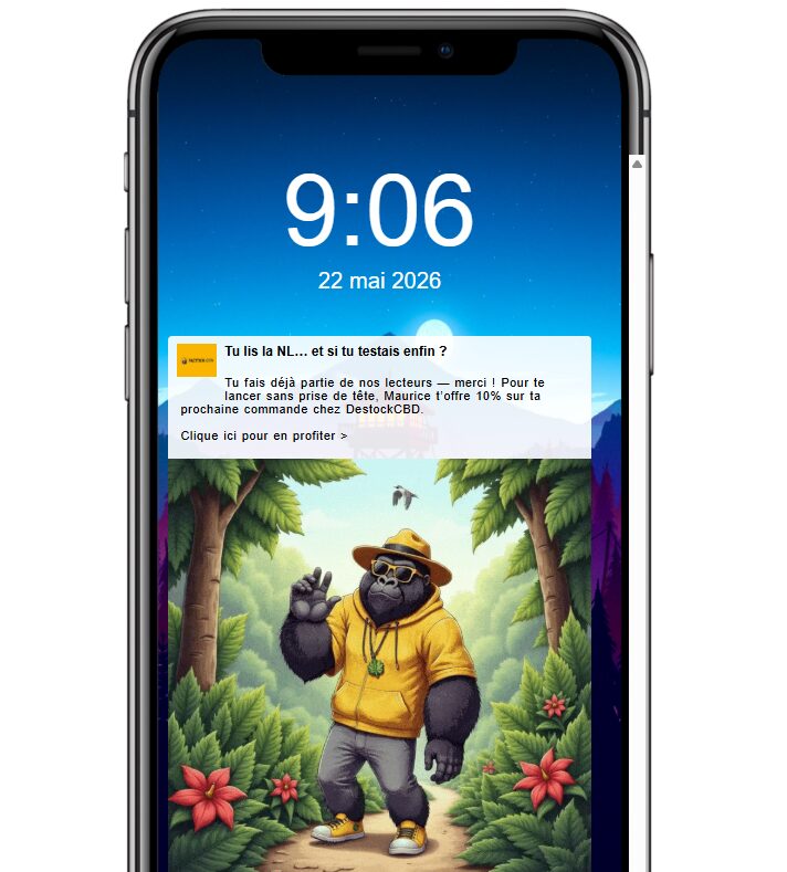 Push notification e-commerce déclencher premier achat 