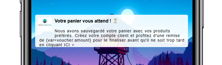 exemple push notification relance panier abandonné e-commerce